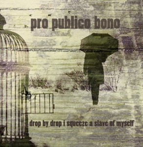 LP_ProPublicoBono_front